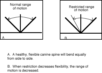 Range Of Motion 1